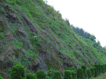 山体绿化防护网